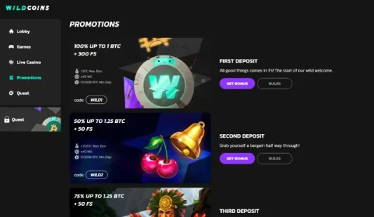 Wildcoins Casino kampanjat