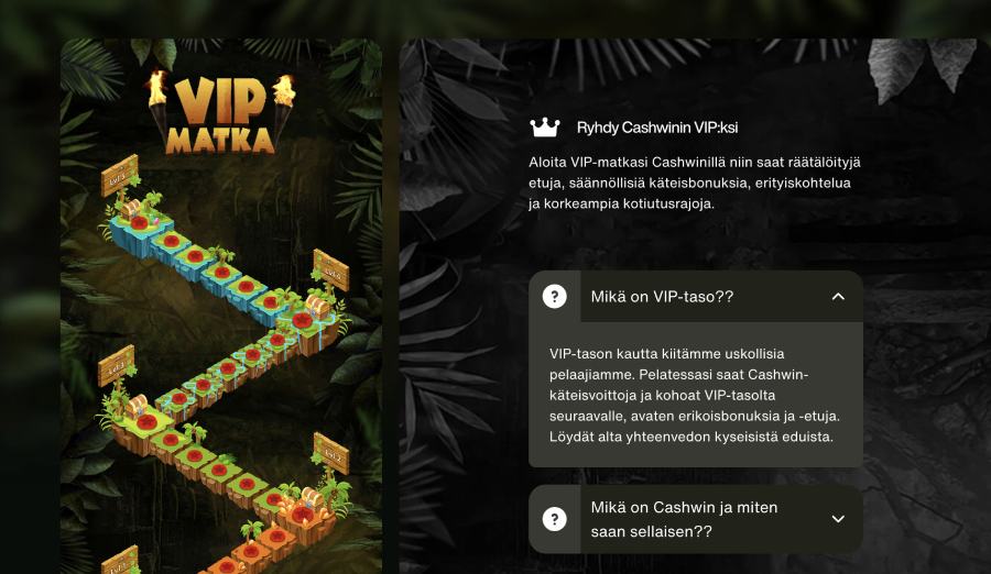 Cashwin Casino VIP-ohjelma