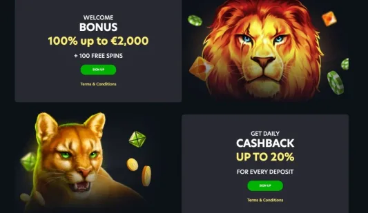 Lionspin Casino bonukset