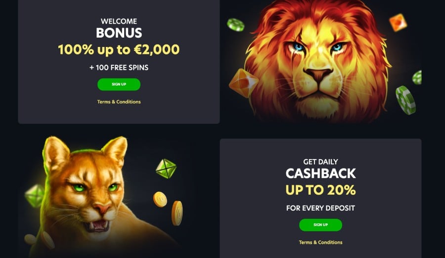 Lionspin Casino bonukset