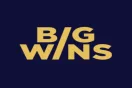 Logokuva kohteelle BigWins Casino