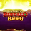 Buffalo Rising Megaways