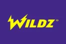 Logokuva kohteelle Wildz Casino