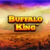 Buffalo King