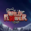 Wild Flower